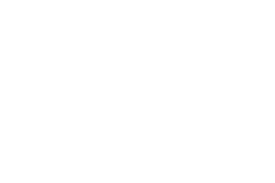 Logo Branco BF Meat