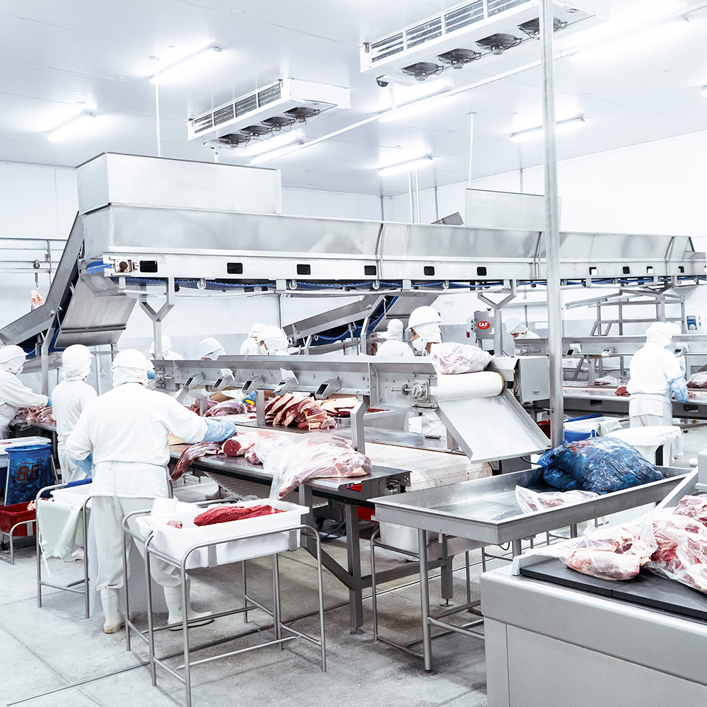 Pessoas trabalhando na produção da BF Meat